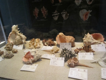 photo 782111