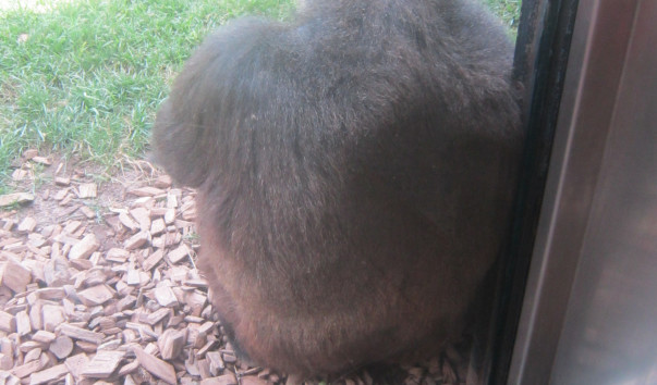 070