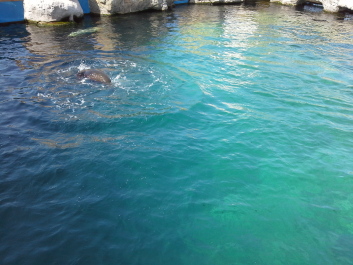 photo 1074257