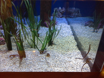 photo 1074261