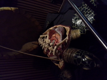 photo 1074265