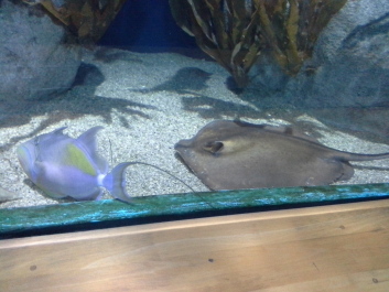 photo 1074266