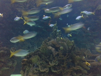 photo 1074267