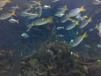 photo 1074268