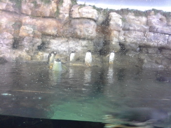 photo 1074269