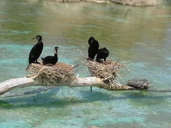 photo 1074271
