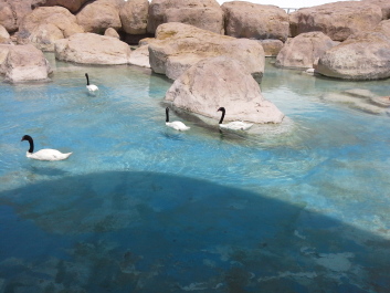 photo 1074272
