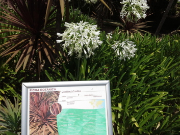 photo 1074274
