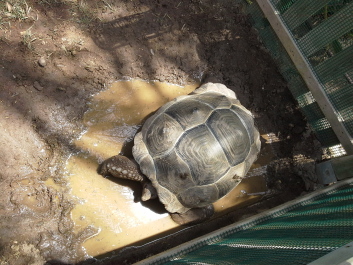 photo 1074276