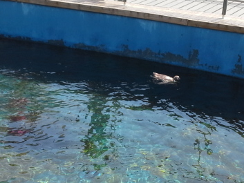 photo 1074277