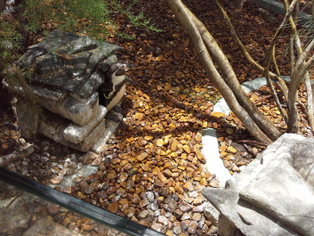 photo 1074278