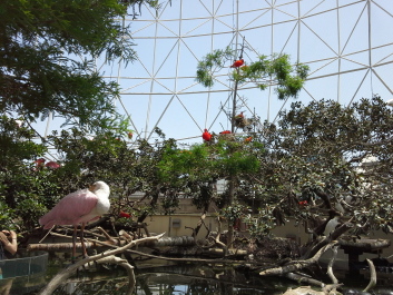 photo 1074281