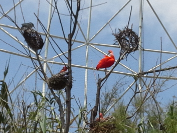 photo 1074282