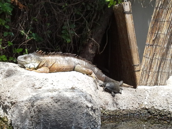 photo 1074284