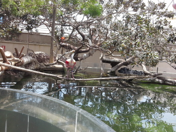 photo 1074287