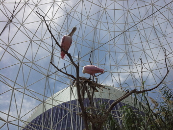 photo 1074292