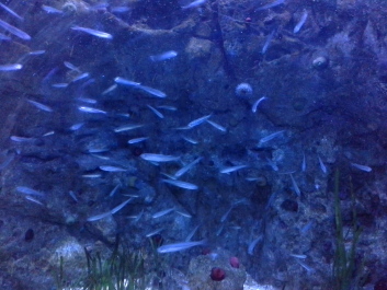 photo 1074296