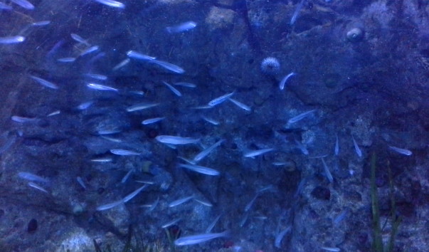20150704_145225