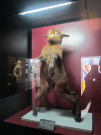 photo 1074507