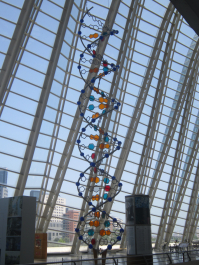 photo 1074515