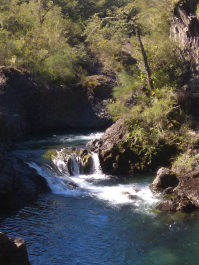 photo 1816244