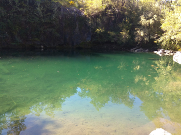 photo 1816246
