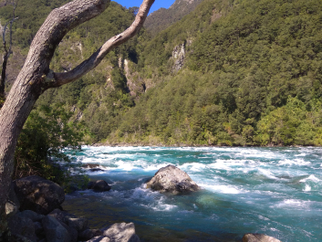 photo 1816250