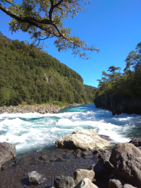 photo 1816252
