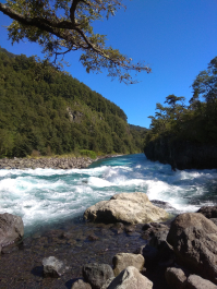 photo 1816253