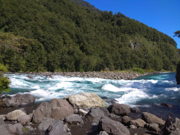 photo 1816254