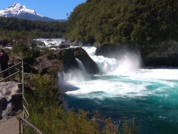 photo 1816262
