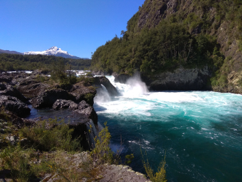 photo 1816265