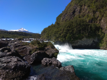 photo 1816270