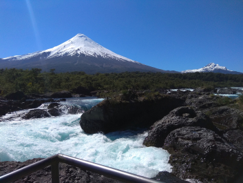 photo 1816272