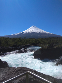 photo 1816273