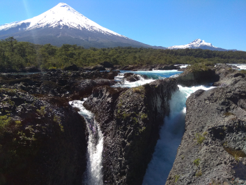 photo 1816281
