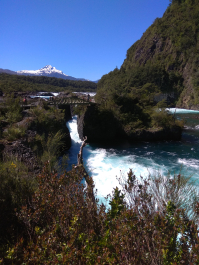 photo 1816299