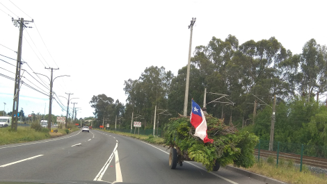 photo 1817768