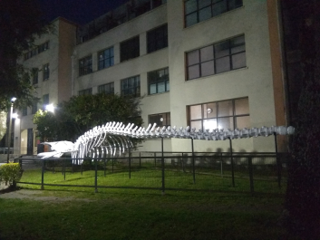 photo 1818287