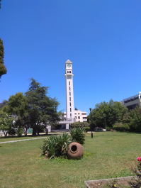 photo 1832972