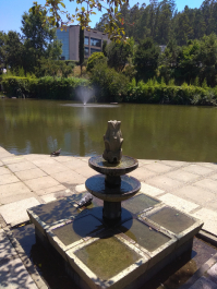 photo 1832974