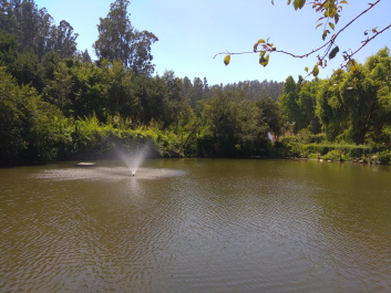 photo 1832975