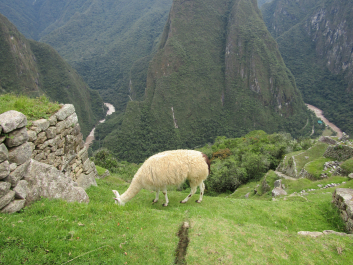 photo 1835794