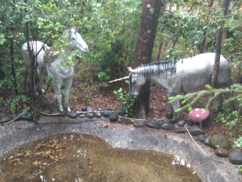 photo 1835922