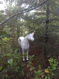 photo 1835940