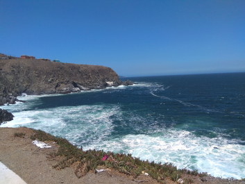 photo 1836205