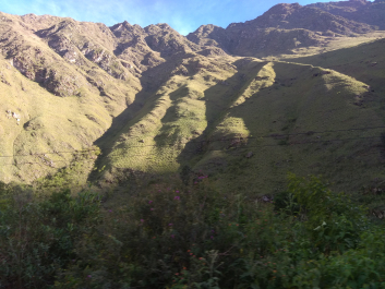 photo 1836776