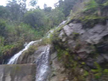 photo 1836788