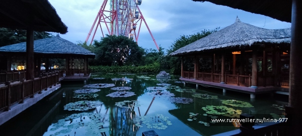 photo 2157393
