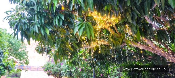 photo 2157402